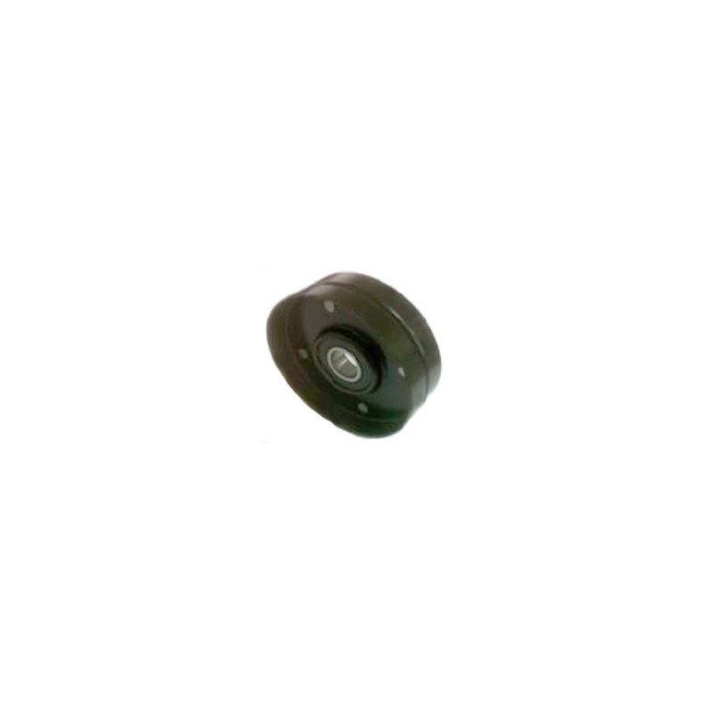 POLEA FIJA DE CORREA DE ACCESORIOS BTP 12046