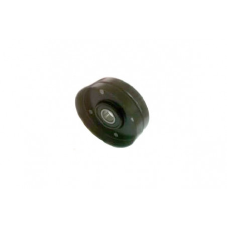 POLEA FIJA DE CORREA DE ACCESORIOS BTP 12046