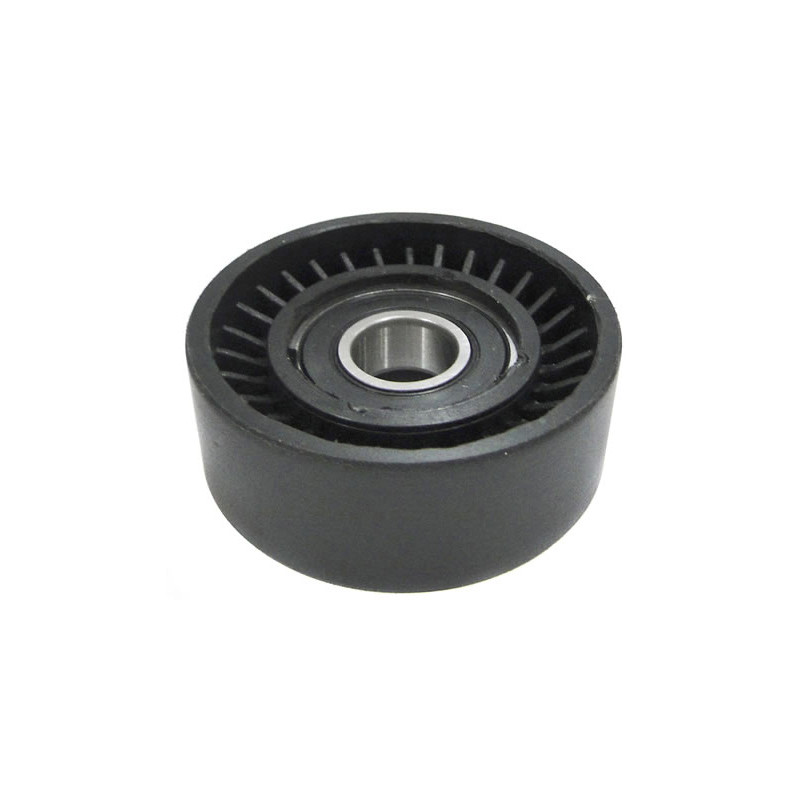 POLEA FIJA DE CORREA DE ACCESORIOS BTP 12050