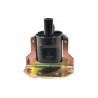 BOBINA DE ENCENDIDO EUROREPAR 1643035380
