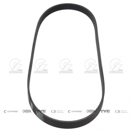 CORREA POLIV DE ACCESORIOS CONTINENTAL 5071/21
