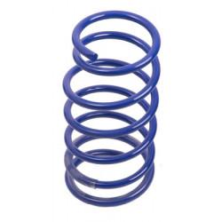 JUEGO DE RESORTES DE SUSPENSION (ESPIRALES) AG 213038K