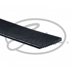 CORREA POLIV DE ACCESORIOS GATES 12PK1830-4