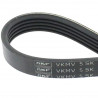 CORREA POLIV DE ACCESORIOS SKF VKMV 5SK705