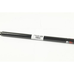 AMORTIGUADOR DE BAUL/PORTON/CAPOT LIFTGATE 13603