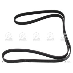 CORREA POLIV DE ACCESORIOS...