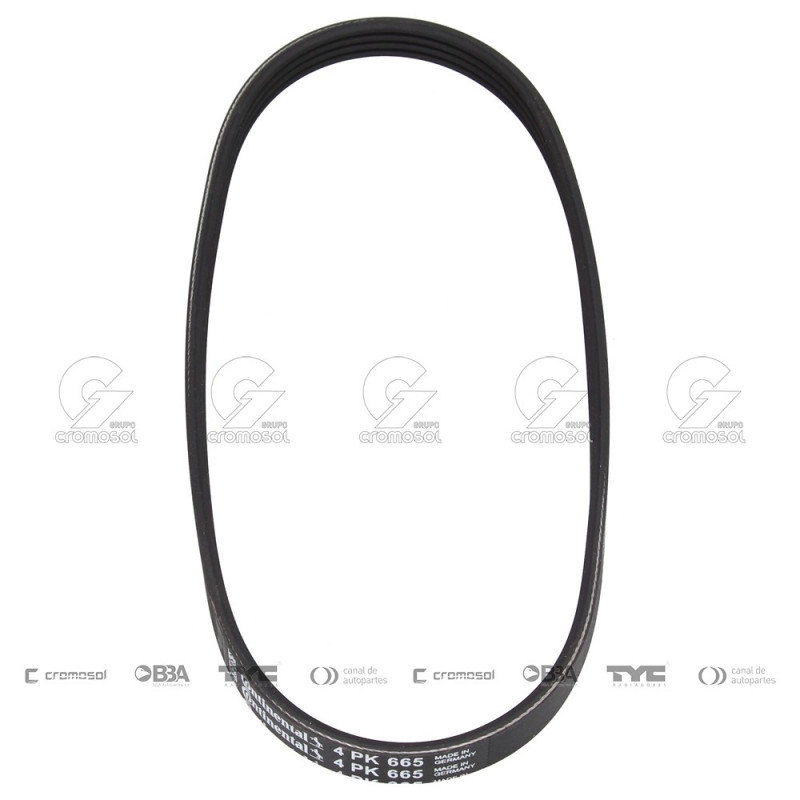 CORREA POLIV DE ACCESORIOS CONTINENTAL 65619/20