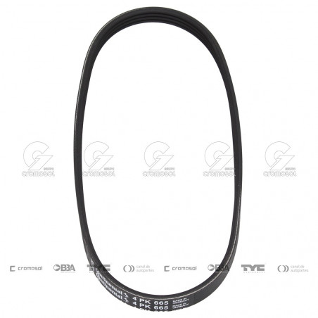 CORREA POLIV DE ACCESORIOS CONTINENTAL 65619/20