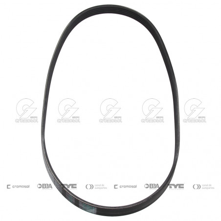 CORREA POLIV DE ACCESORIOS CONTINENTAL 65631/20