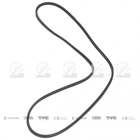 CORREA POLIV DE ACCESORIOS CONTINENTAL 65718/20