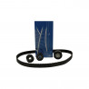 KIT DE CORREA DE DISTRIBUCION SKF VKMA 06108