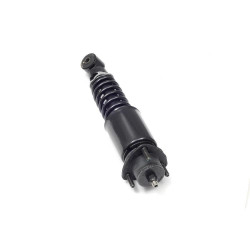 AMORTIGUADOR DE CABINA SACHS 316 801