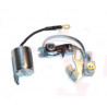 KIT DE PLATINO Y CONDENSADOR GAREF 6876011