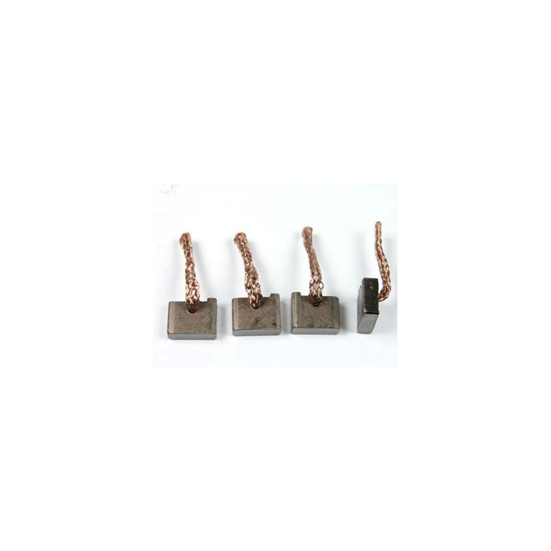 CARBONES DE MOTOR DE ARRANQUE GAREF 8320474
