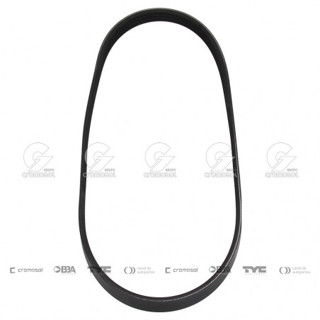 CORREA POLIV DE ACCESORIOS CONTINENTAL 65096/21