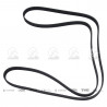 CORREA POLIV DE ACCESORIOS CONTINENTAL 5193/21