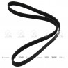 CORREA POLIV DE ACCESORIOS CONTINENTAL 65119/20