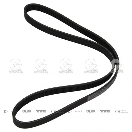 CORREA POLIV DE ACCESORIOS CONTINENTAL 5216/20