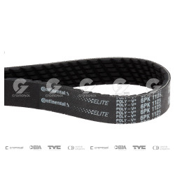 CORREA POLIV DE ACCESORIOS...