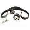 KIT DE CORREA DE DISTRIBUCION RENAULT 13 0C 131 30R