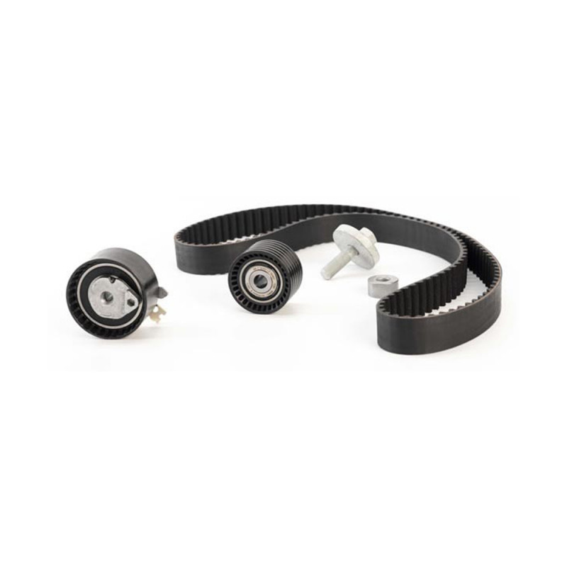 KIT DE CORREA DE DISTRIBUCION RENAULT 13 0C 175 29R