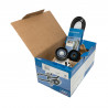 KIT DE CORREA POLIV DE ACCESORIOS SKF VKMA 36103