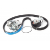 KIT DE CORREA DE DISTRIBUCION CON BOMBA DE AGUA SKF VKMC 03254 A