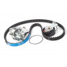 KIT DE CORREA DE DISTRIBUCION CON BOMBA DE AGUA SKF VKMC 03254 A1