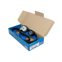 KIT DE CORREA DE DISTRIBUCION SKF VKMA 06021 A