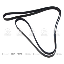 CORREA POLIV DE ACCESORIOS...