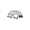 JUEGO DE CABLES DE BUJIAS DELPHI XS10076