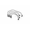 JUEGO DE CABLES DE BUJIAS DELPHI XS10382