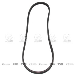 CORREA POLIV DE ACCESORIOS...
