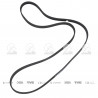 CORREA POLIV DE ACCESORIOS CONTINENTAL 65716/20