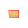 FILTRO DE AIRE (SECUNDARIO) CHEVROLET 13271042