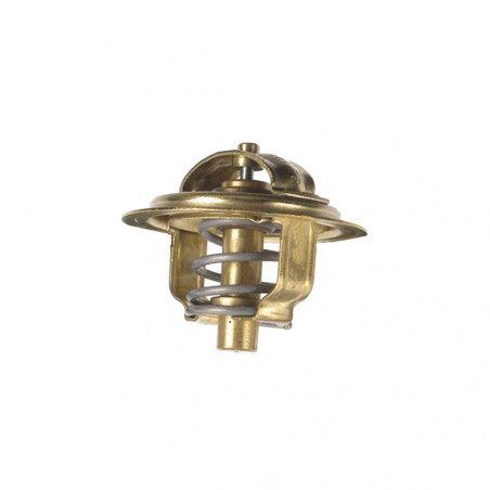 TERMOSTATO (SOLO) WAHLER 3035-90