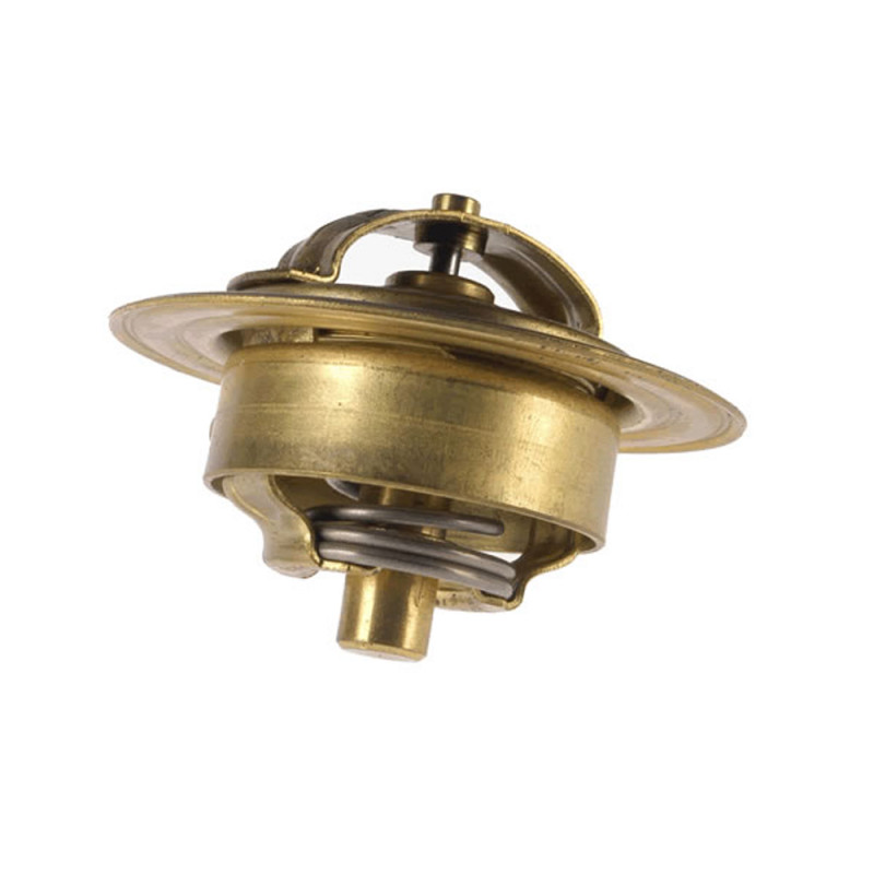 TERMOSTATO (SOLO) WAHLER 3087-89
