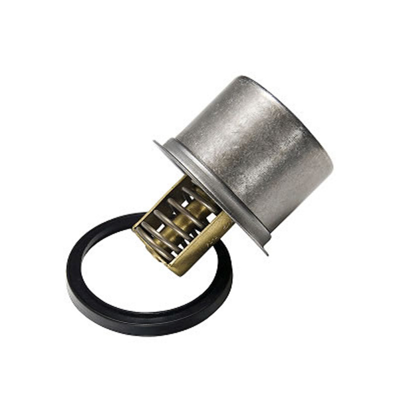 TERMOSTATO (SOLO) WAHLER 4619-80