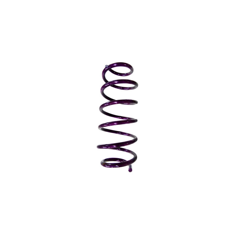 JUEGO DE RESORTES DE SUSPENSION (ESPIRALES) AG 4-072197W