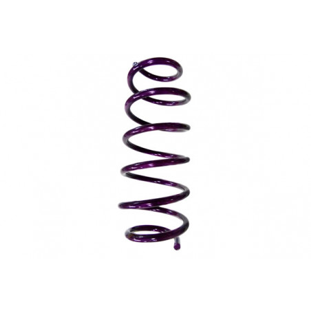 JUEGO DE RESORTES DE SUSPENSION (ESPIRALES) AG 4-072197W