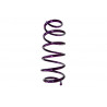 JUEGO DE RESORTES DE SUSPENSION (ESPIRALES) AG 4-072197W