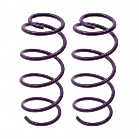 JUEGO DE RESORTES DE SUSPENSION (ESPIRALES) AG 4-072198W