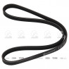CORREA POLIV DE ACCESORIOS CONTINENTAL 5325/20