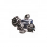 RODAMIENTO DE RUEDA CON MAZA NAKATA NKF 8117