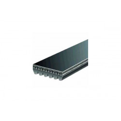 CORREA POLIV DE ACCESORIOS GATES 6PK1930-4