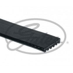CORREA POLIV DE ACCESORIOS GATES 6PK1930-4