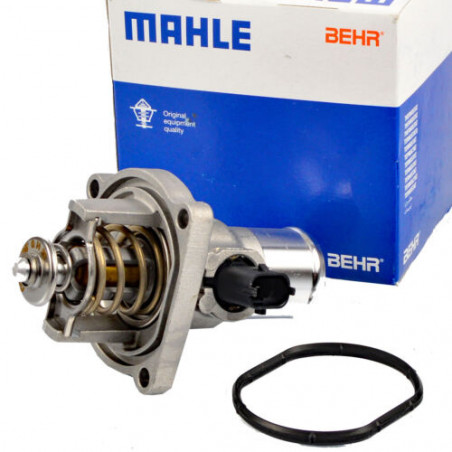 TERMOSTATO (COMPLETO) MAHLE TM 41 105