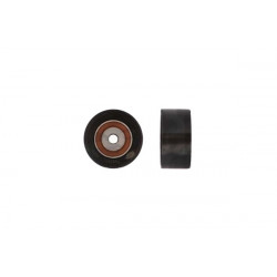 POLEA FIJA DE CORREA DE DISTRIBUCION GATES T42162