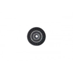 POLEA FIJA DE CORREA DE ACCESORIOS GATES T42191