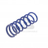 JUEGO DE RESORTES DE SUSPENSION (ESPIRALES) AG 251182K